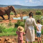Family Vacation Safaris to Africa