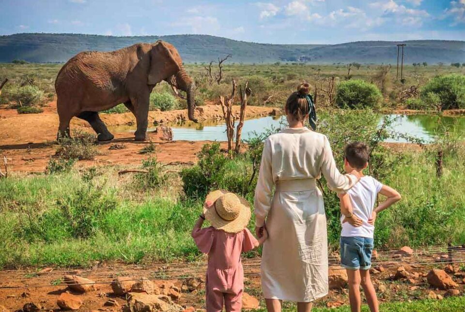 Family Vacation Safaris to Africa