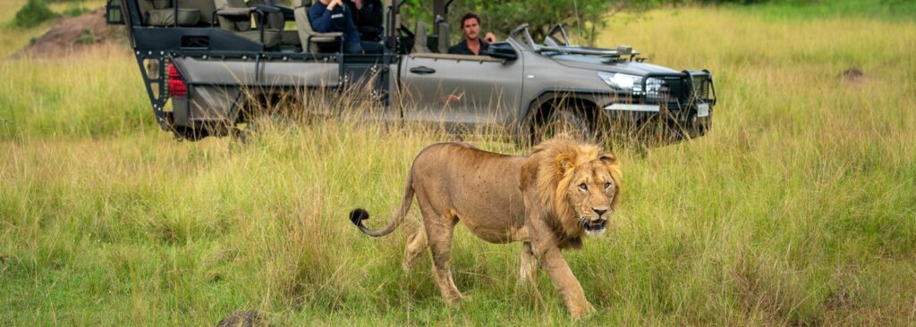 Full-day Private Tour Akagera National Park