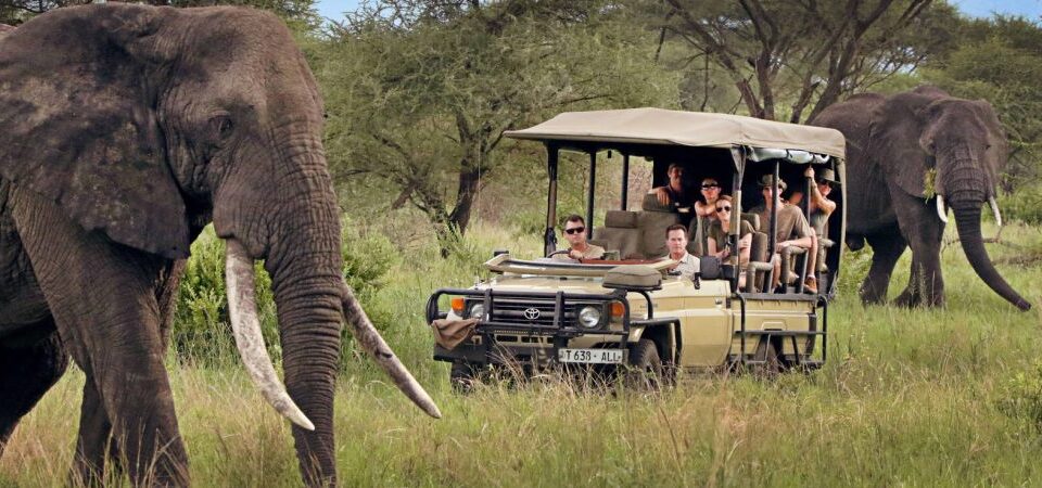 How Much Does It Cost to Go on an African Safari?