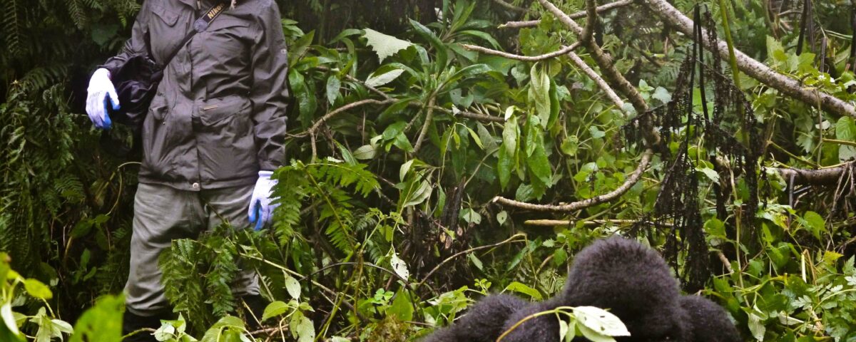 Gorilla Trekking Vacation