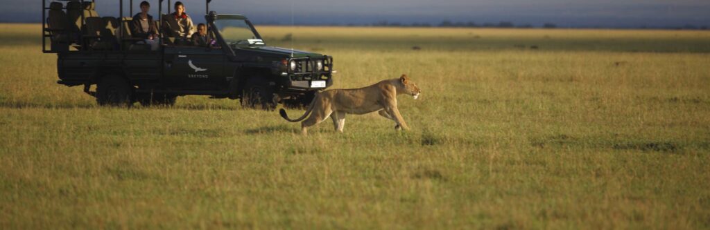 Guide to combining Masai Mara and Serengeti National Park
