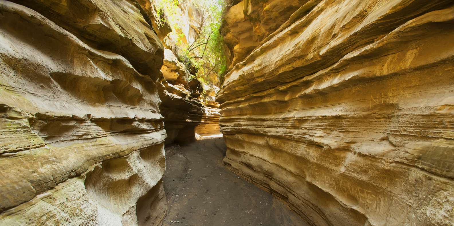 Hell's Gate National Park: The Home to wildlife & uniqueness