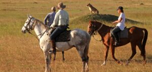 Horse riding in Masai Mara: A lifetime experience
