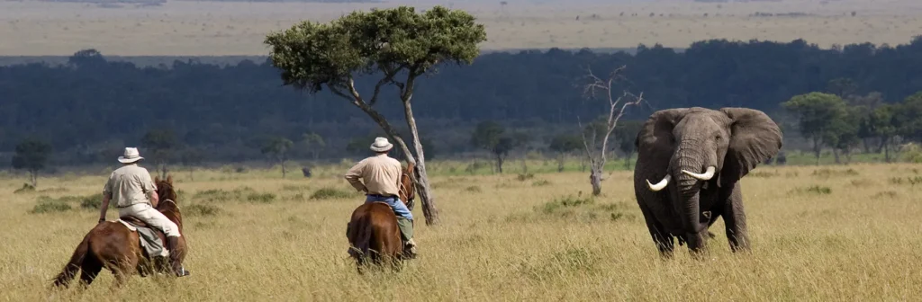 Horseback riding in Serengeti: a lifetime experience