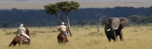 Horseback riding in Serengeti: a lifetime experience