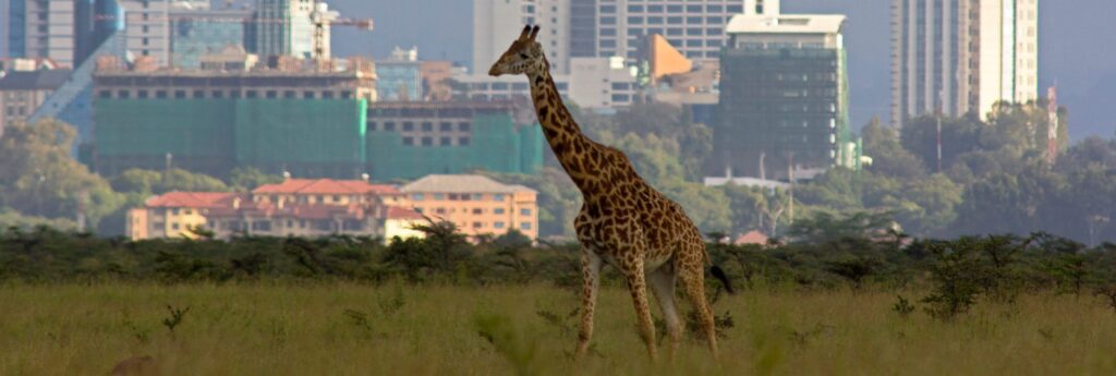 How to spend your 1 month (29 days) on African vacation