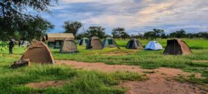 Is it safe to do Camping safari in Serengeti National Park?