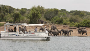 Primate Photographic Safaris
