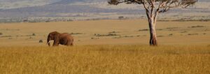 Kenya's top 10 breathtaking wonders: best of the rest