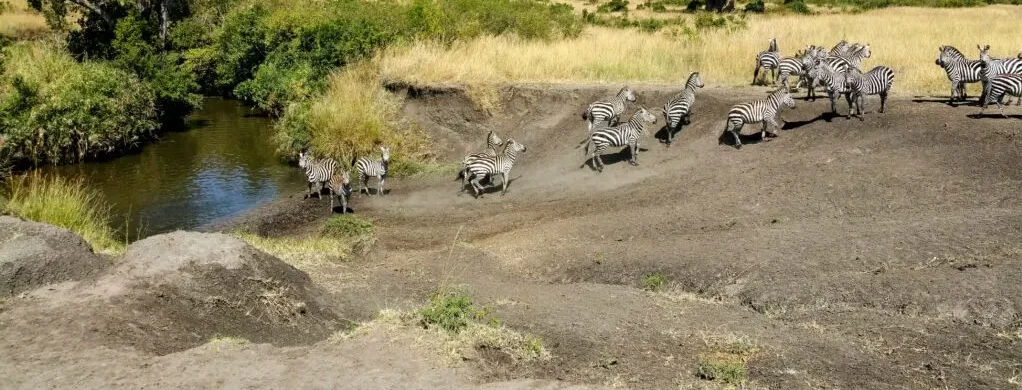 Masai Mara: What to pack for a safari for Masai Mara?