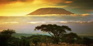 Mount Kilimanjaro Vs Mount Kenya VS Rwenzori Mountains