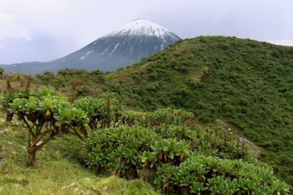 Mountain Karisimbi