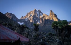 Mountain Kenya