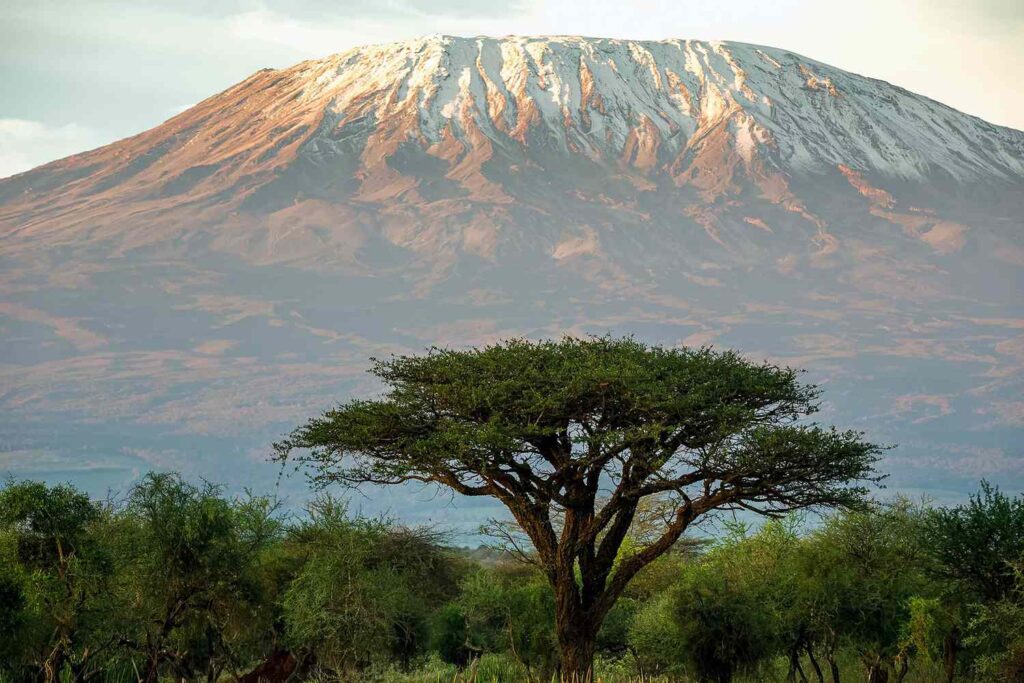 Mountain Kilimanjaro