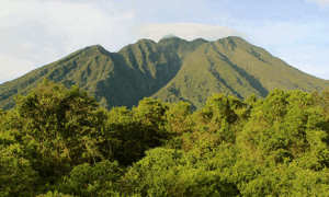 Mountain Sabinyo