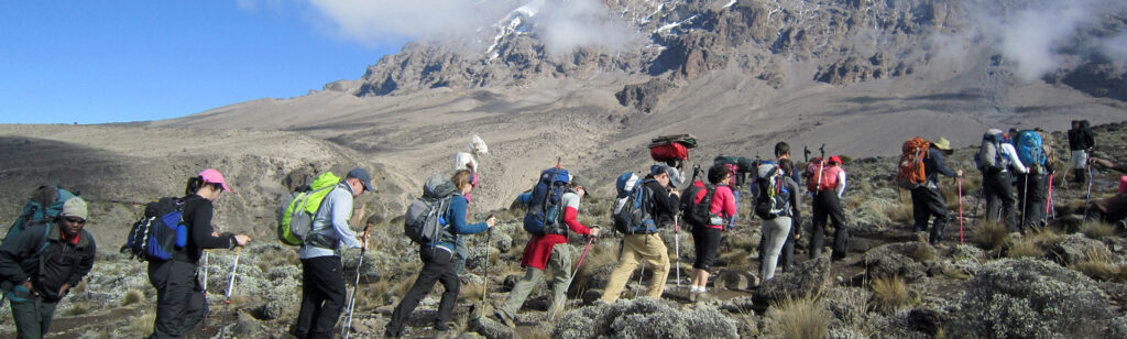 Mountaineering Safaris