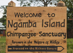 Ngamba Island