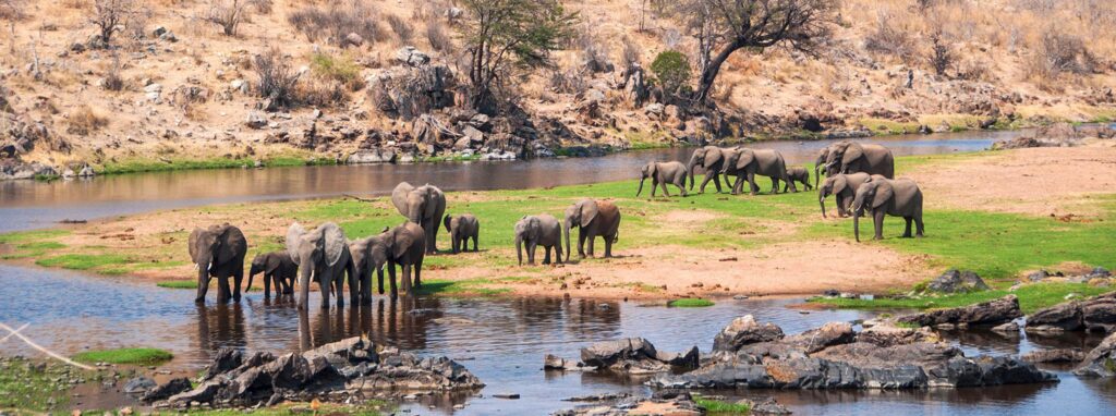 Ruaha National park