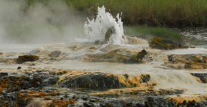 Semliki National Park