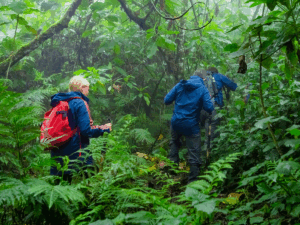  The cost of hiking mount Karisimbi