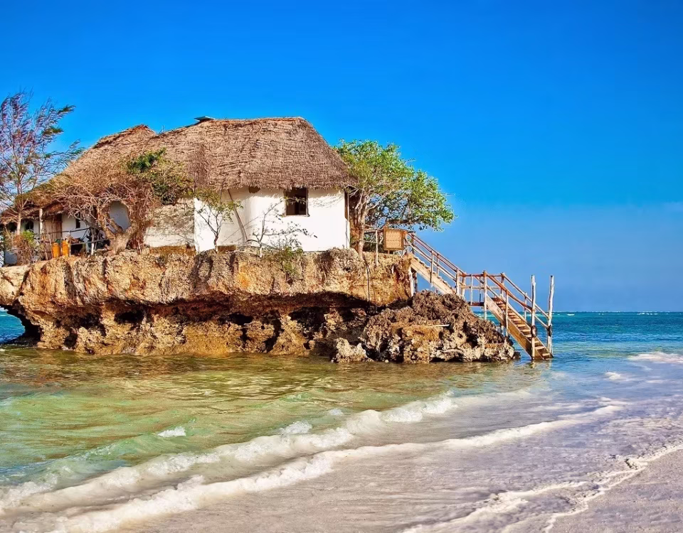 Vacation Safaris to Africa from Toronto