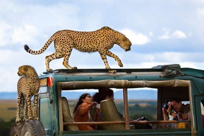 Vacation Safaris to Africa from Vancouver