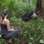 Vancouver Island to See Gorillas