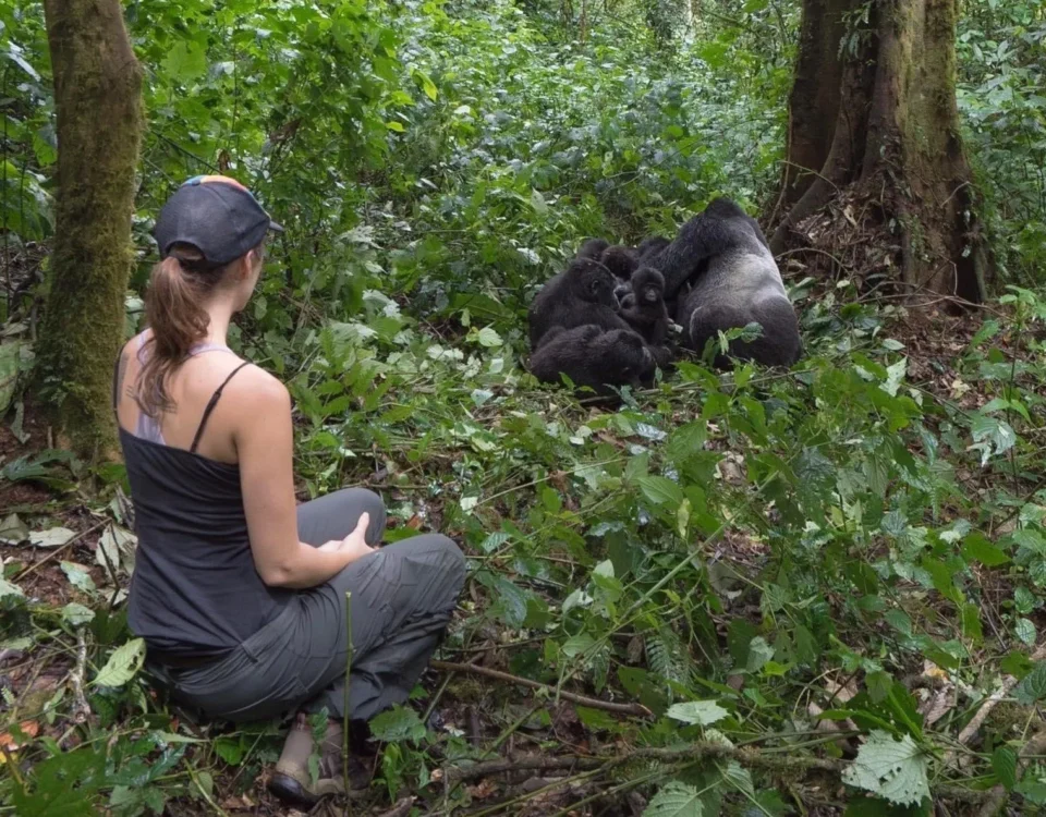 Vancouver Island to See Gorillas