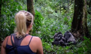 Vancouver canada see gorillas