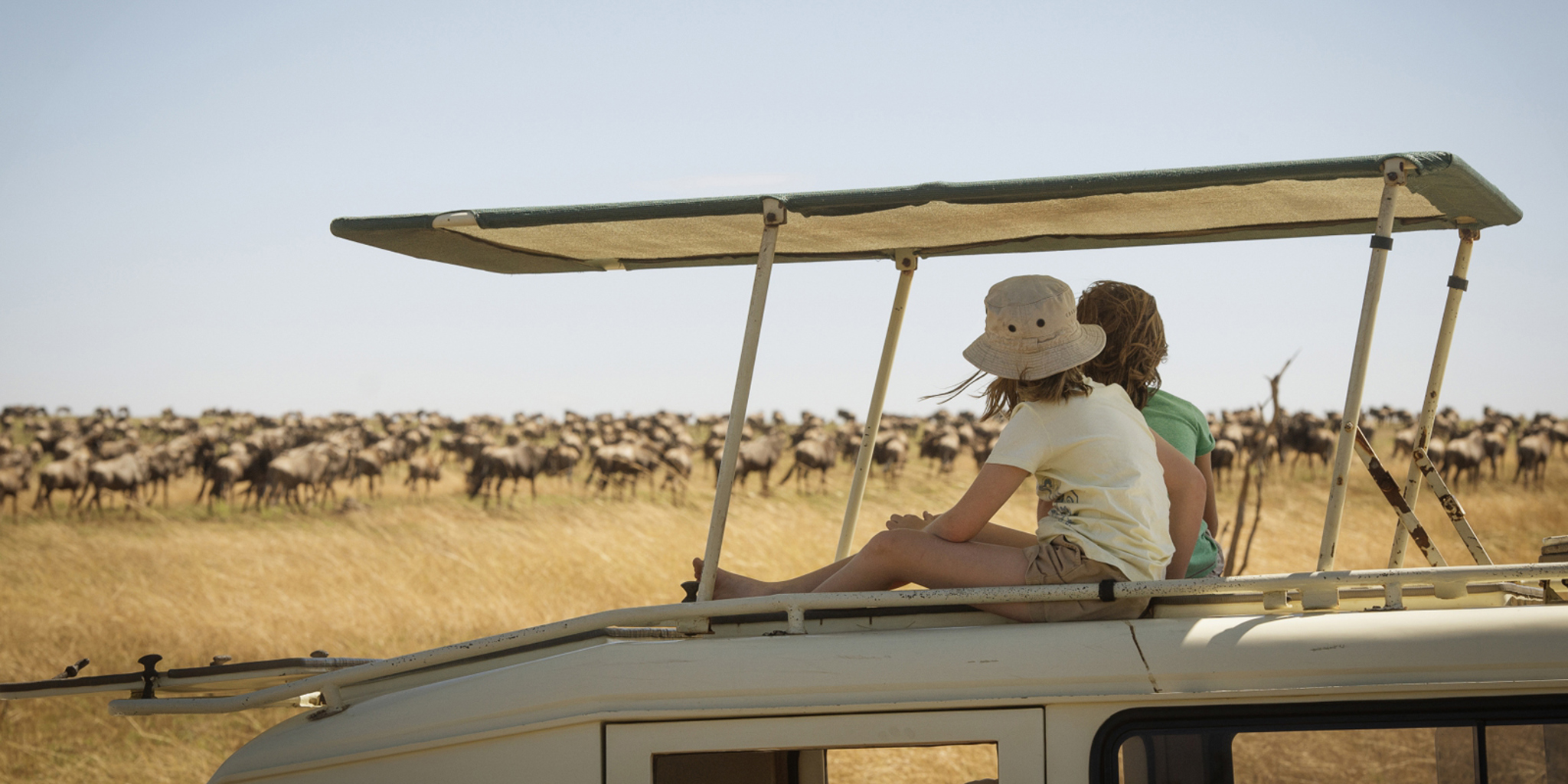 What Does a Safari Vacation Cost