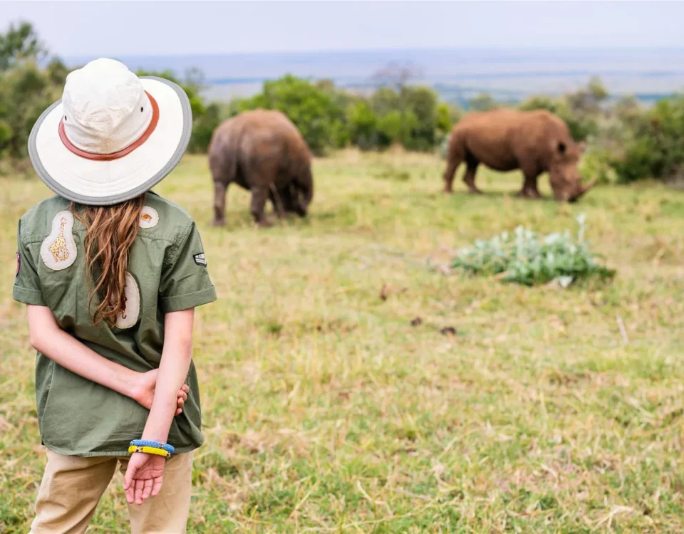 What Does a Safari Vacation Cost
