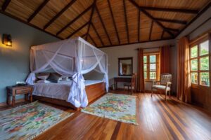 10 Days Great Apes Of Uganda And Rwanda