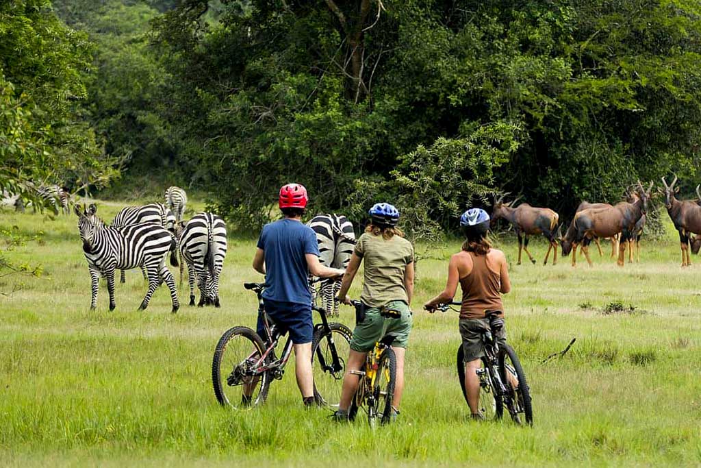 2 Days Akagera Wildlife Safari